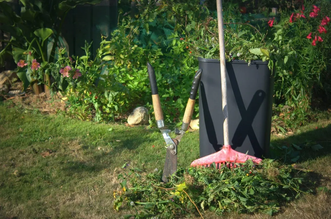 Aide à la personne jardinage Châteaubourg