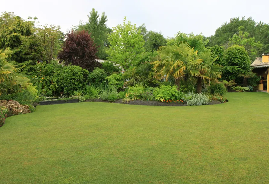 Aménagement extérieur Domagné - SOS PARCS ET JARDINS